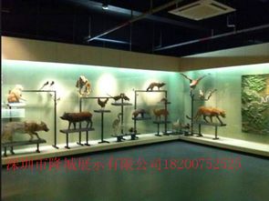 广州供销博物馆展示柜与会务服务融合创新探索